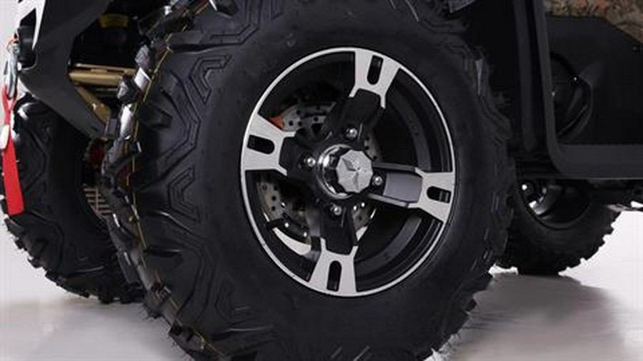 2026 Denago Powersports Freelander 300FI