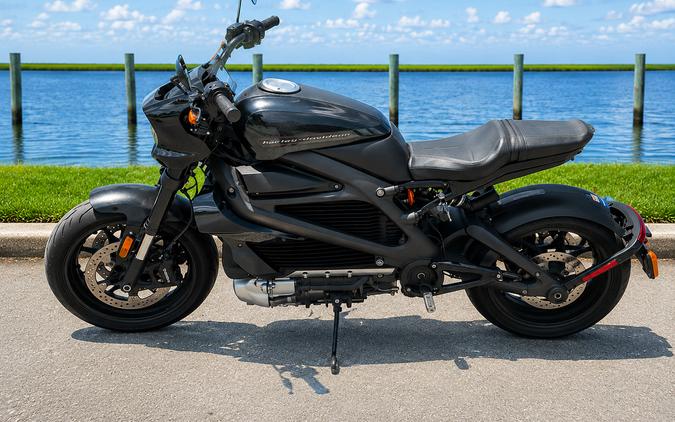 2020 Harley-Davidson Livewire™