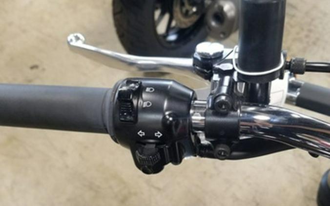 2025 Kawasaki W 800 ABS