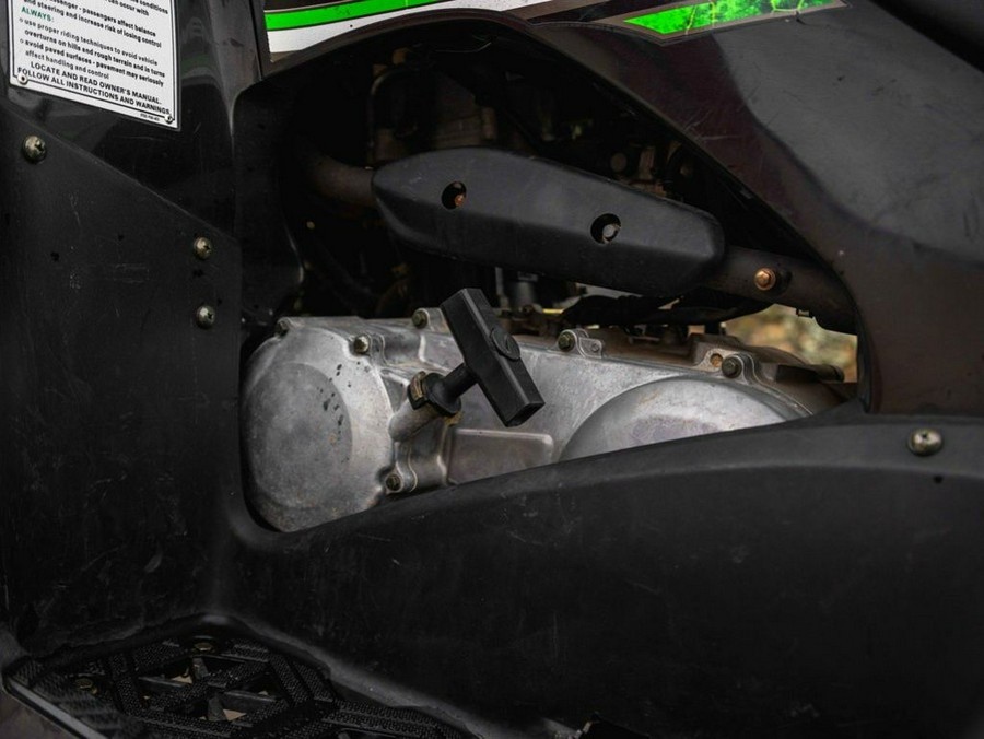 2016 Kawasaki Brute Force® 300