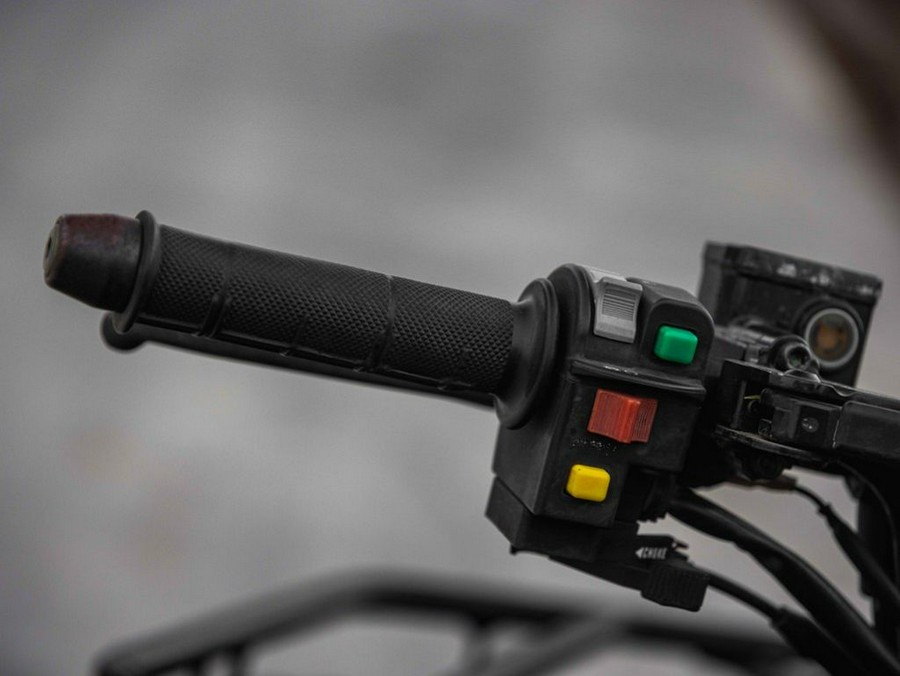 2016 Kawasaki Brute Force® 300