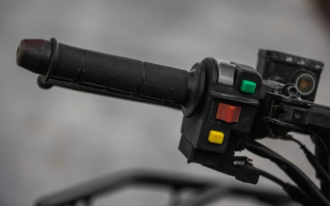 2016 Kawasaki Brute Force® 300