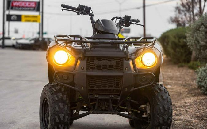 2016 Kawasaki Brute Force® 300