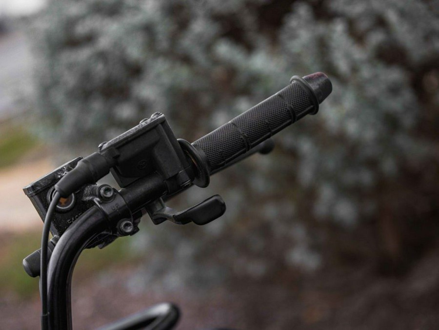 2016 Kawasaki Brute Force® 300