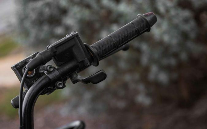 2016 Kawasaki Brute Force® 300