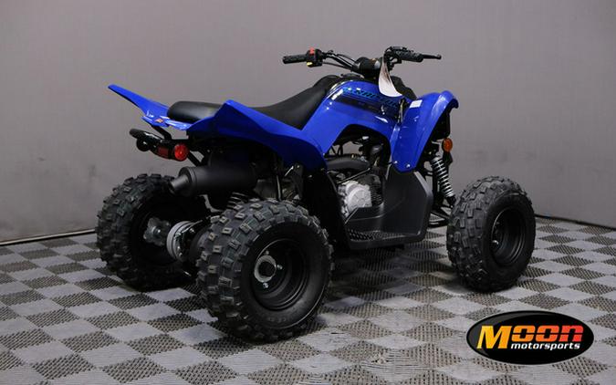 2024 Yamaha Raptor 110