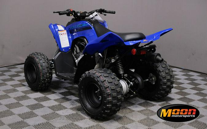 2024 Yamaha Raptor 110