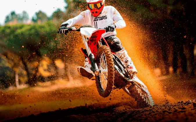 2022 Stark Stark VARG Alpha MX 19"_80HP