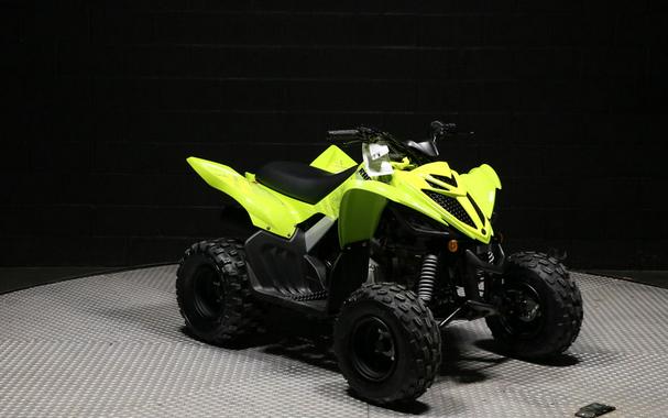 2026 Yamaha Raptor 110
