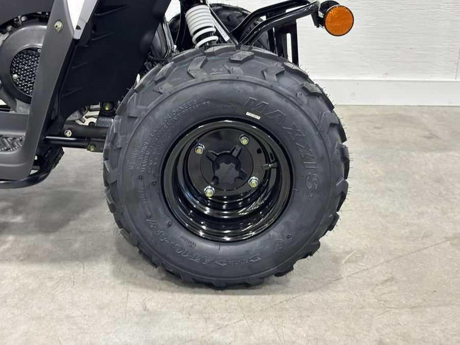 2026 Kawasaki KFX®50