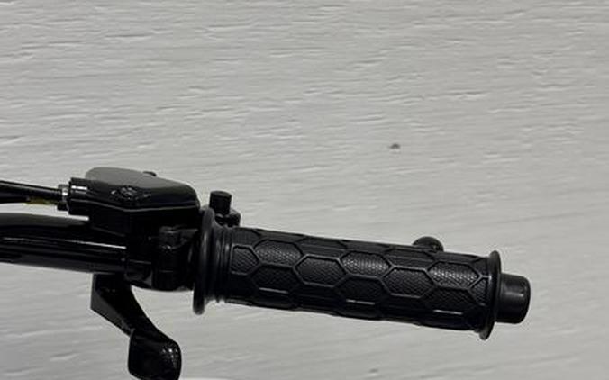 2026 Kawasaki KFX®50