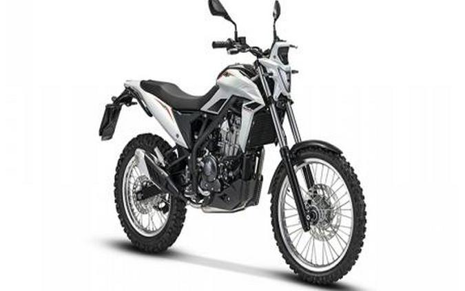 2026 Beta Motorcycles Alp 4.0