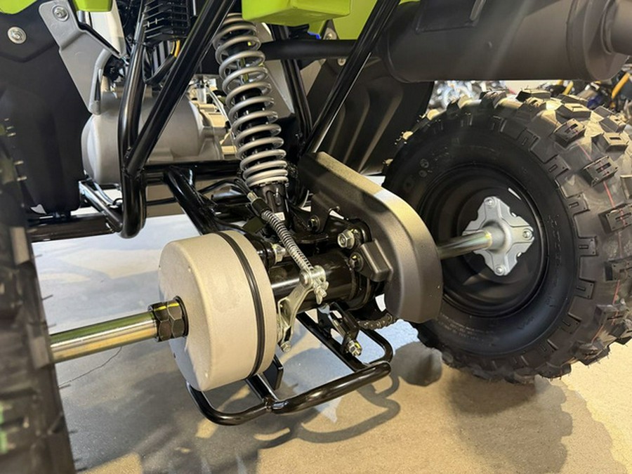 2026 Yamaha Raptor 110