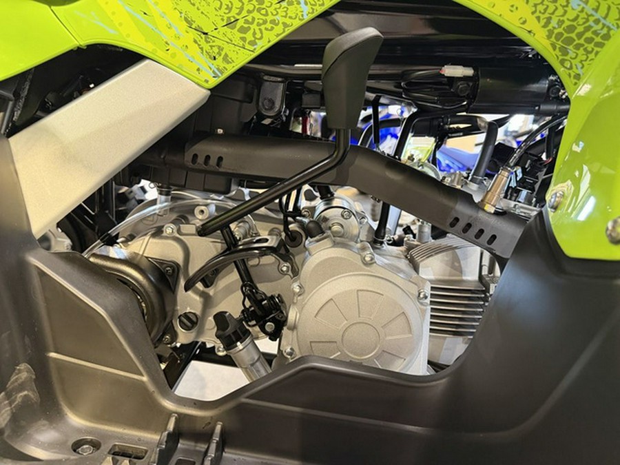 2026 Yamaha Raptor 110