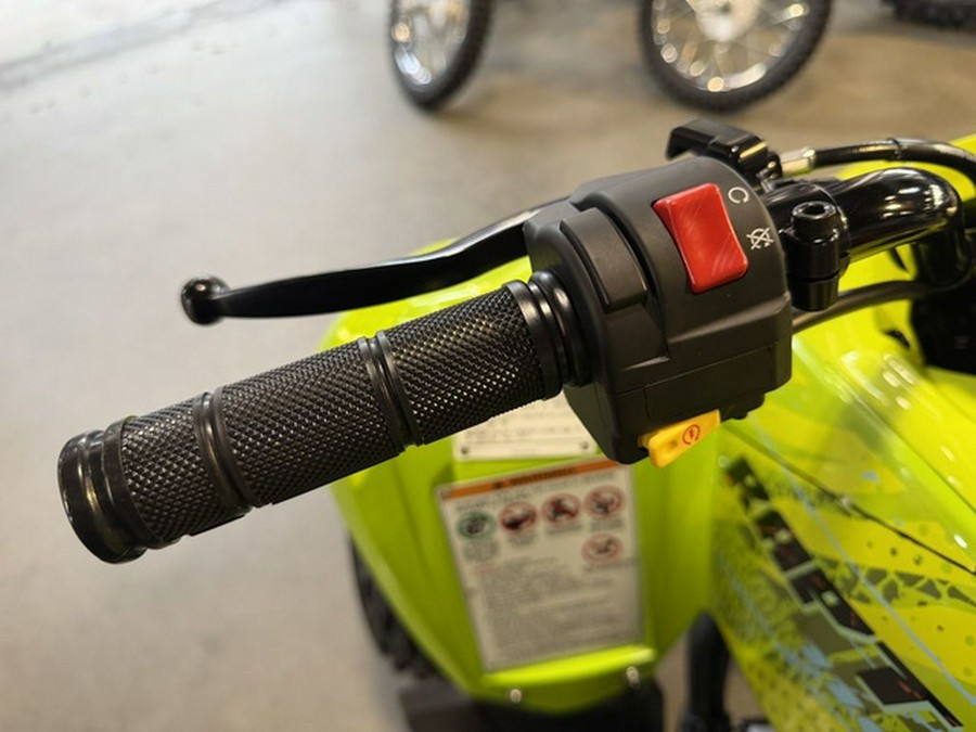 2026 Yamaha Raptor 110