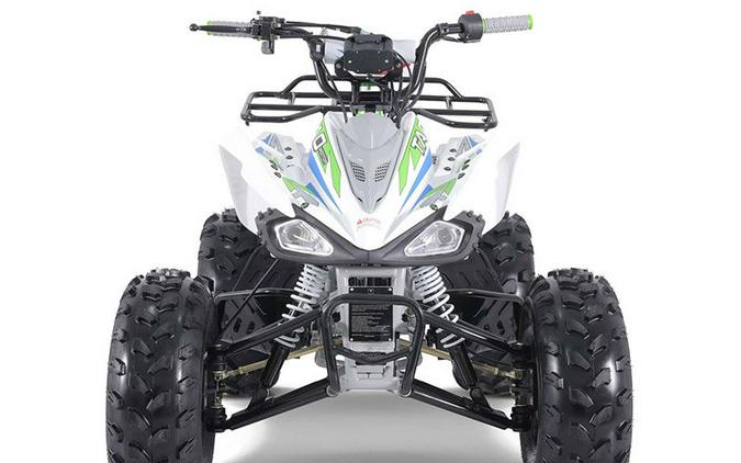 2023 Tao Motor Green Cheetah 125 Youth ATV