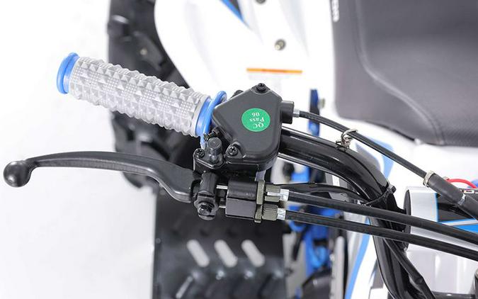 2023 Tao Motor Green Cheetah 125 Youth ATV