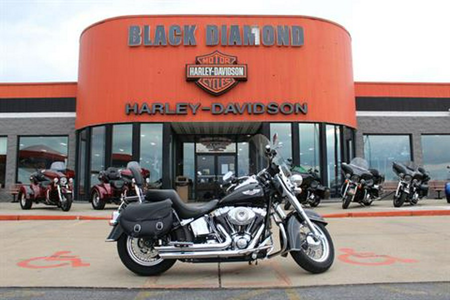2009 Harley-Davidson FLSTN