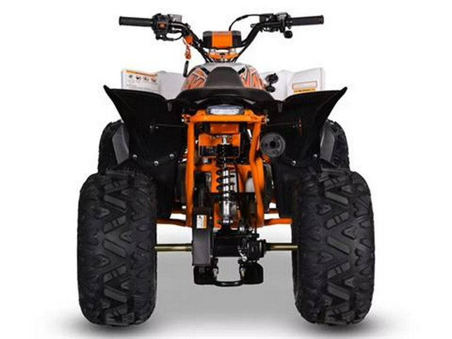 2026 Kayo Predator 110