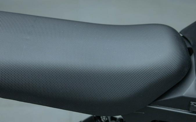 2025 E RIDE PRO MINI