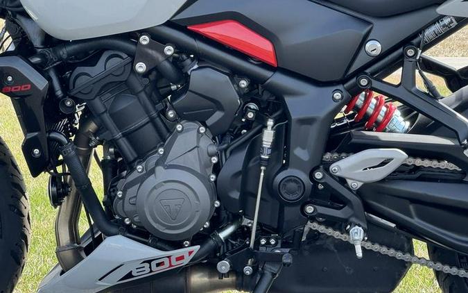 2026 Triumph Trident 800 Ash grey