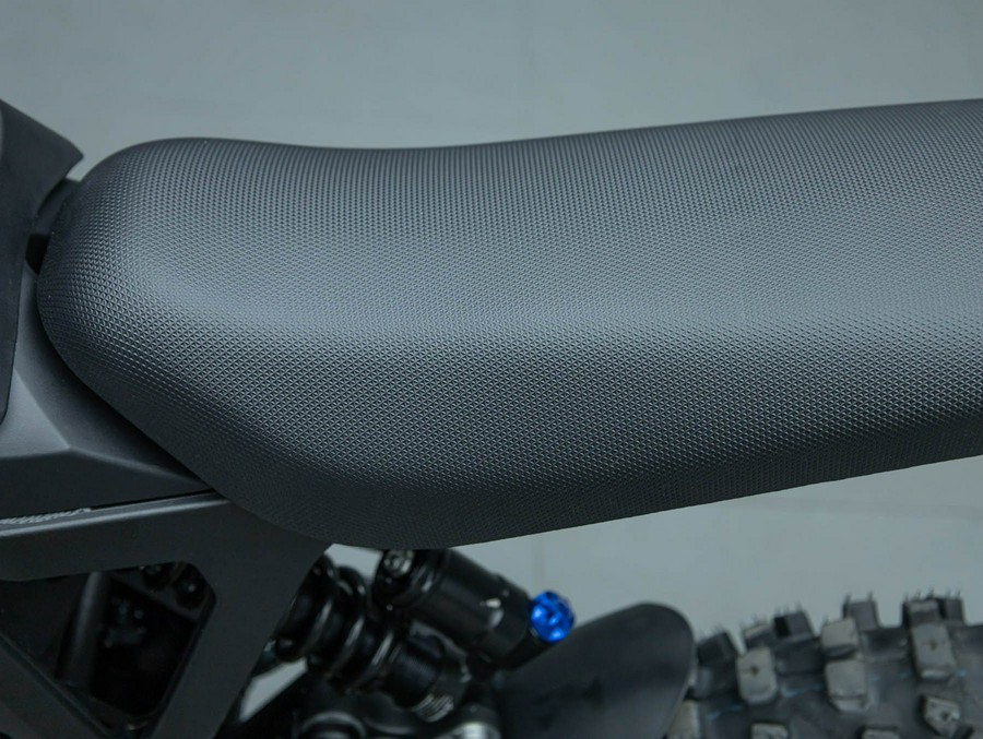 2025 E RIDE PRO MINI