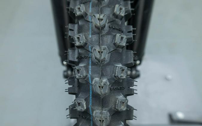 2025 E RIDE PRO MINI