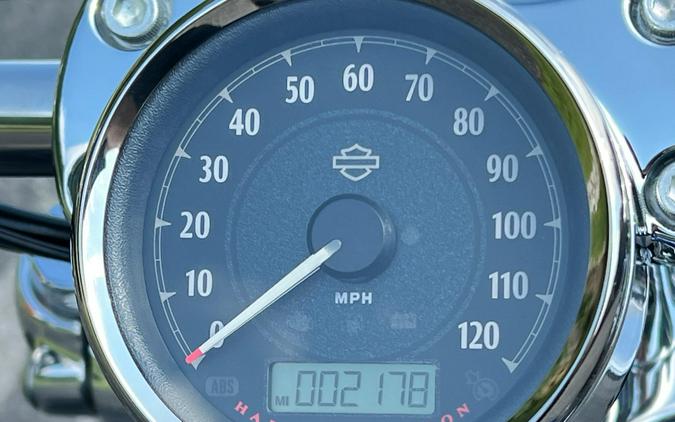 2015 XL1200CP