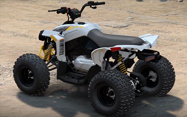 2024 Can-Am RENEGADE 110