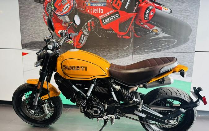 2022 Ducati Scrambler 1100 Tribute PRO Giallo Ocra