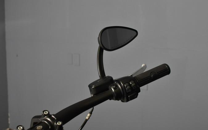 2020 Harley-Davidson Fat Bob 114 Stiletto Red FXFBS