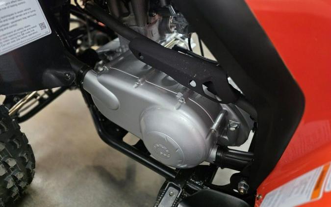 2027 Can-Am DS 250
