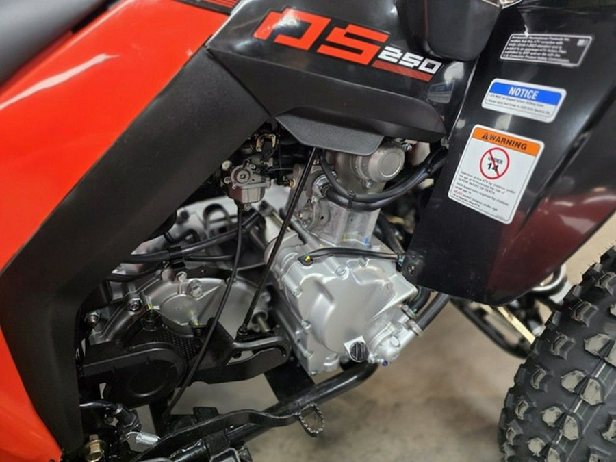2027 Can-Am DS 250