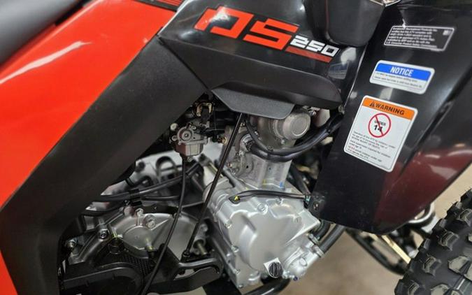 2027 Can-Am DS 250