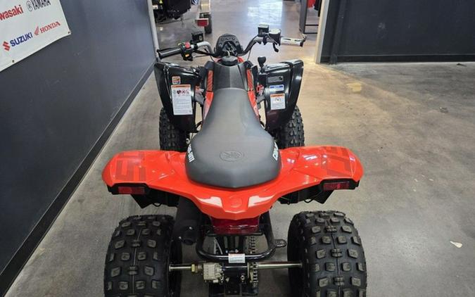 2027 Can-Am DS 250