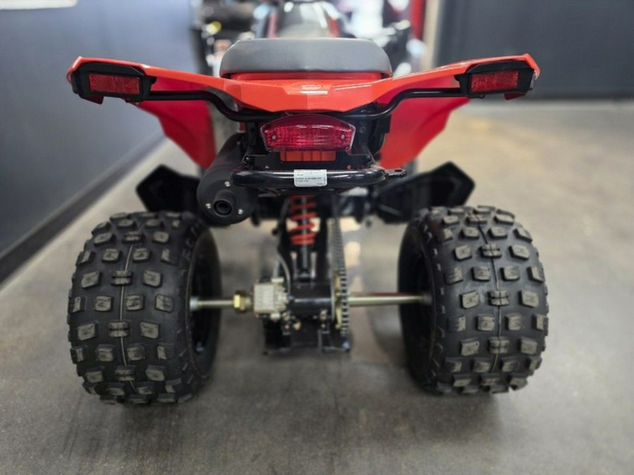 2027 Can-Am DS 250