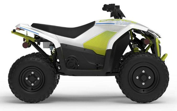 2024 CFMOTO CForce EV110