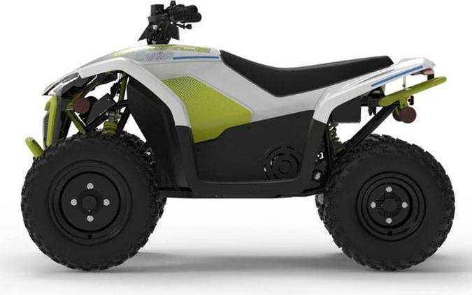 2024 CFMOTO CForce EV110