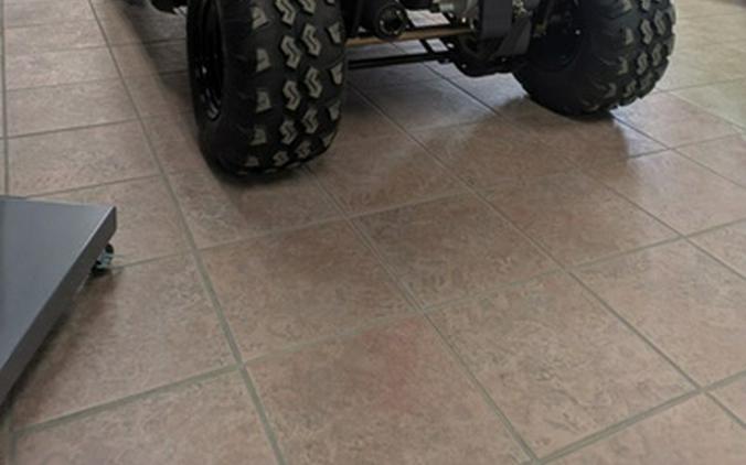 2025 Polaris Ranger 150 EFI