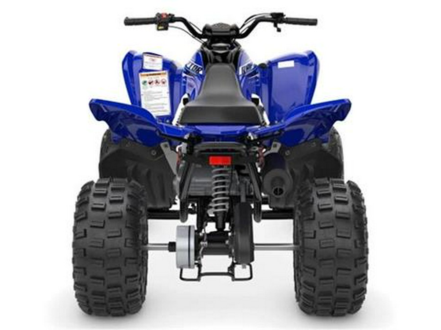 2026 Yamaha Raptor 110