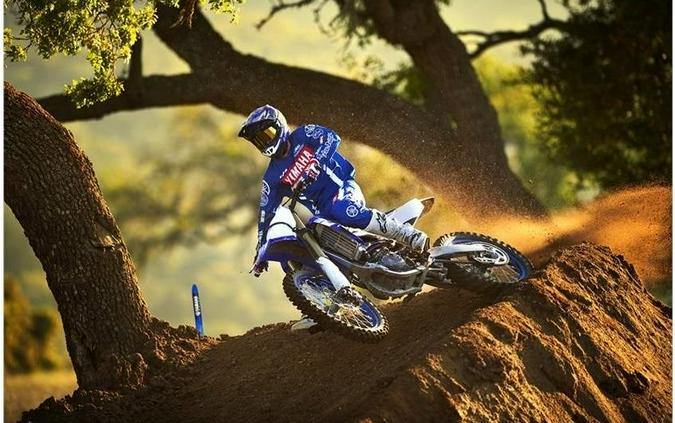 2019 Yamaha YZ250F