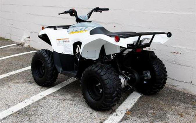 2024 Yamaha Grizzly 90