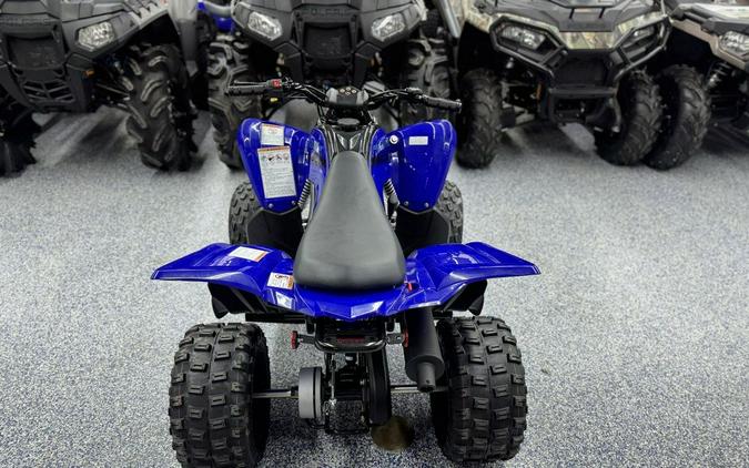 2025 Yamaha Raptor 110