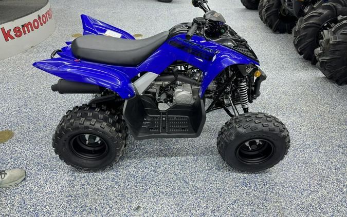 2025 Yamaha Raptor 110