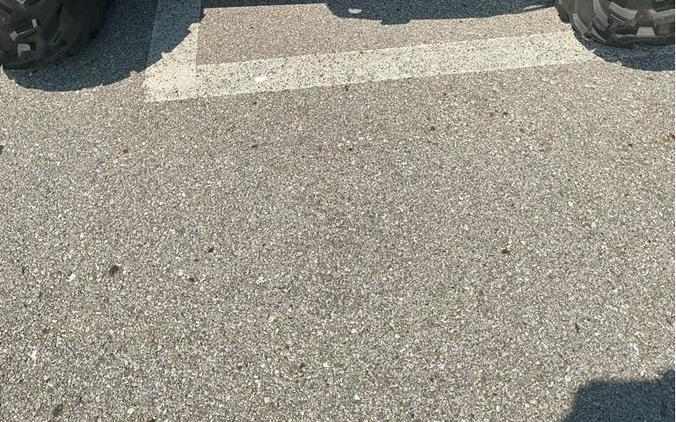 2025 Segway Powersports Villain SX10 P