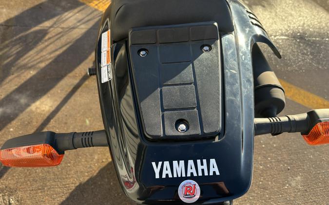 2025 Yamaha TW200