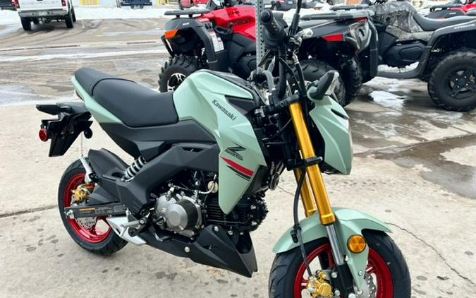 2023 Kawasaki Z125 PRO