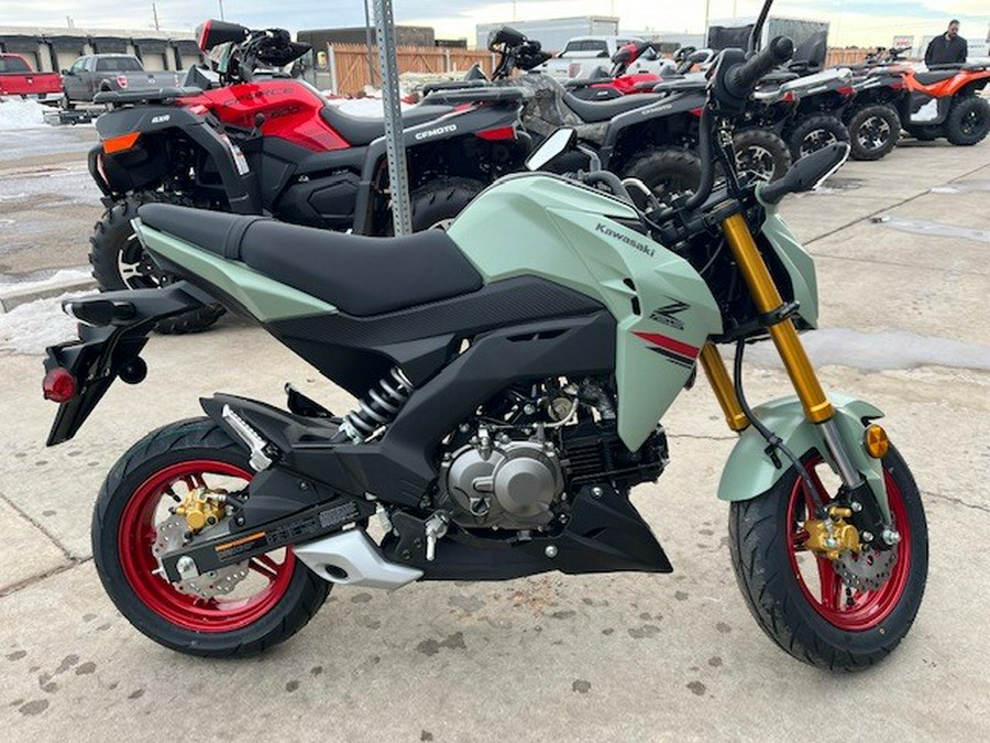 2023 Kawasaki Z125 PRO