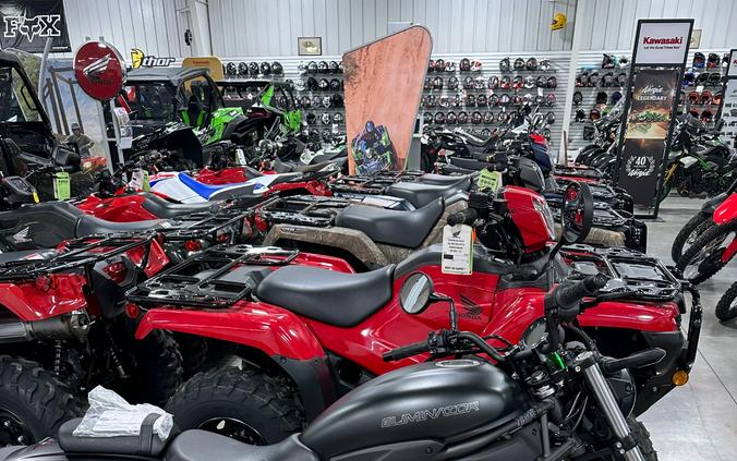 2025 Kawasaki Eliminator®
