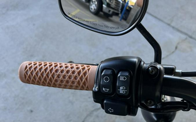2021 Harley-Davidson Sportster Iron 883